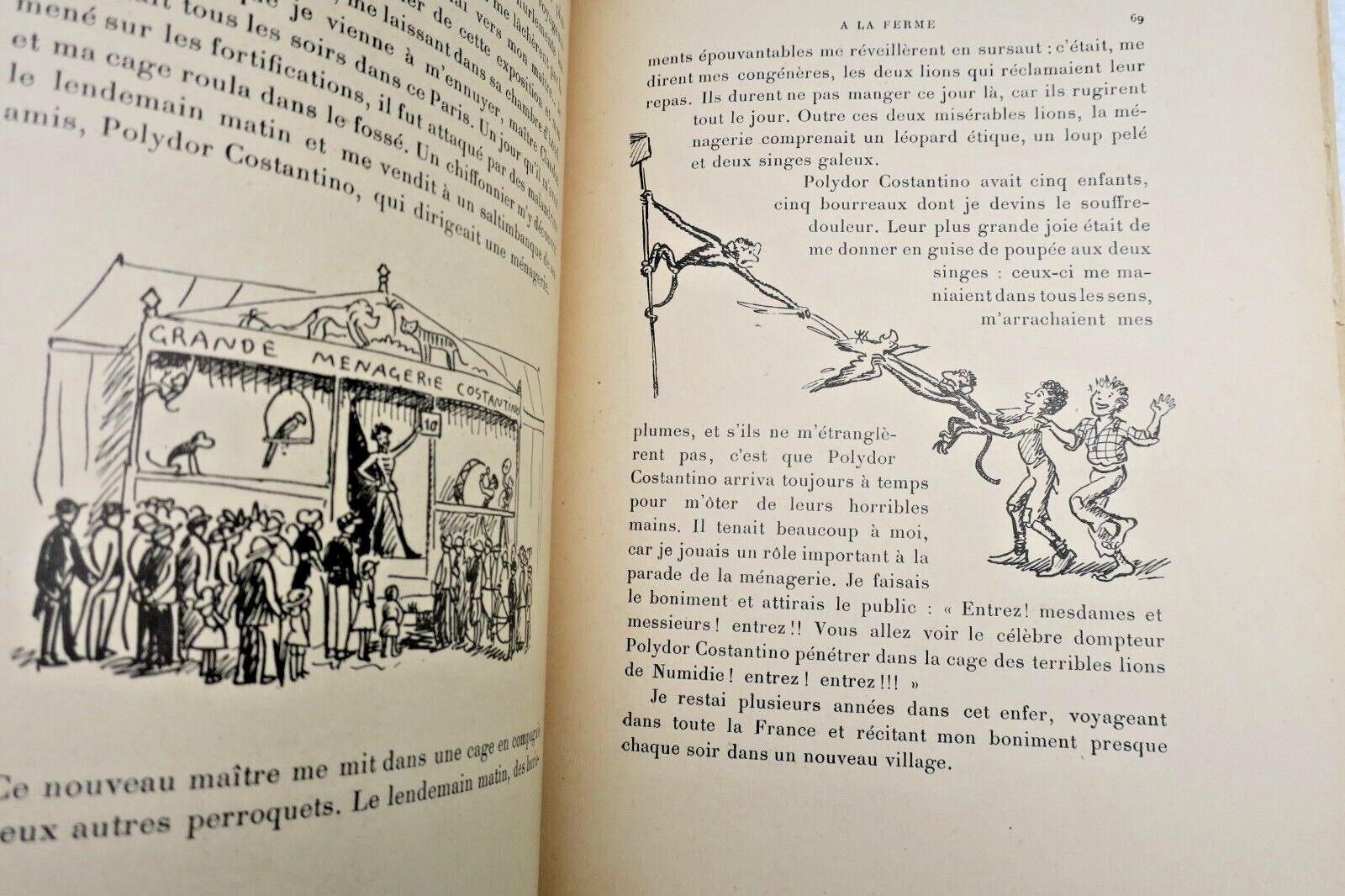 Memoirs of a Parrot – Image 3