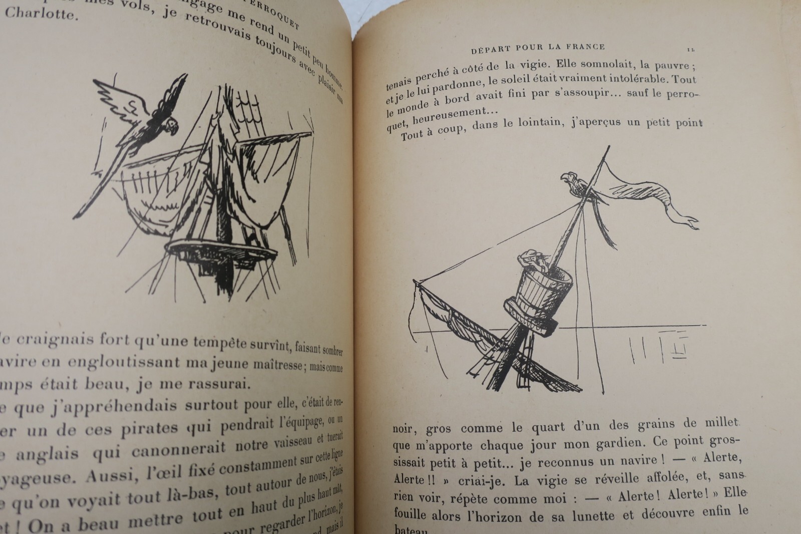 Memoirs of a Parrot – Image 7