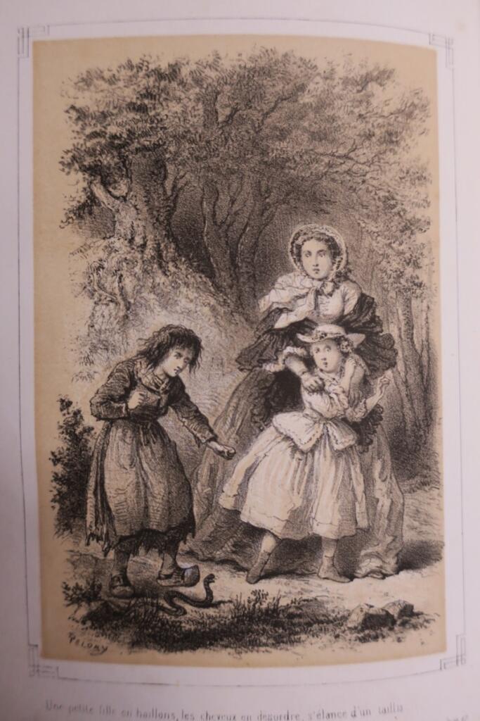 Noble women's tales and historical dramas
