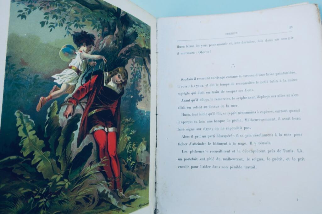 Illustrated children’s book from 1884