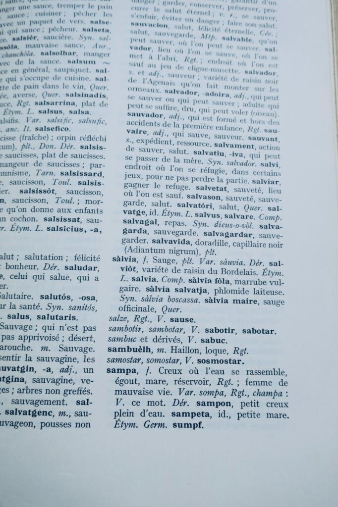 Occitan-French Dictionary based on Languedocian dialects