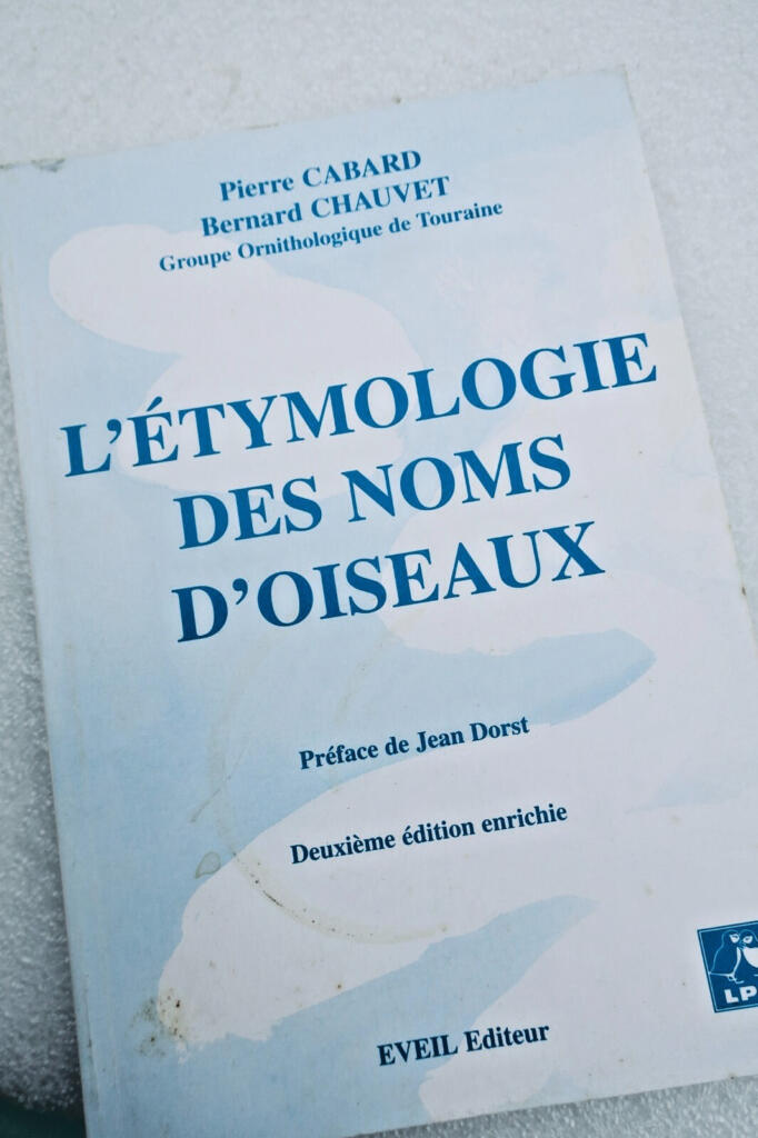 Oiseau étymologie des noms d&rsquo;oiseaux