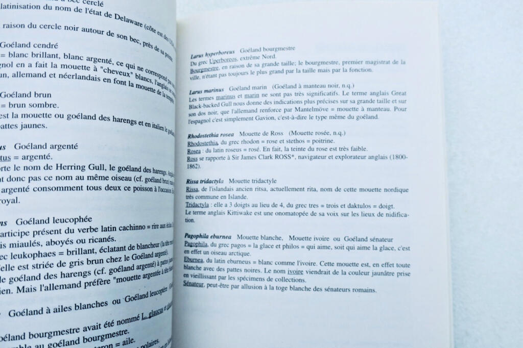 Oiseau étymologie des noms d&rsquo;oiseaux