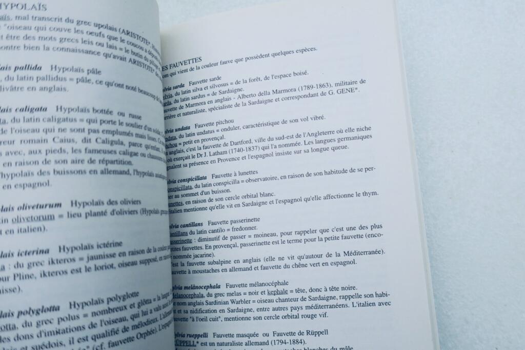 Oiseau étymologie des noms d&rsquo;oiseaux