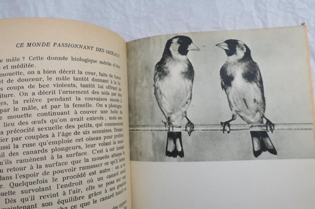 Die faszinierende Welt der Vögel mit Widmung