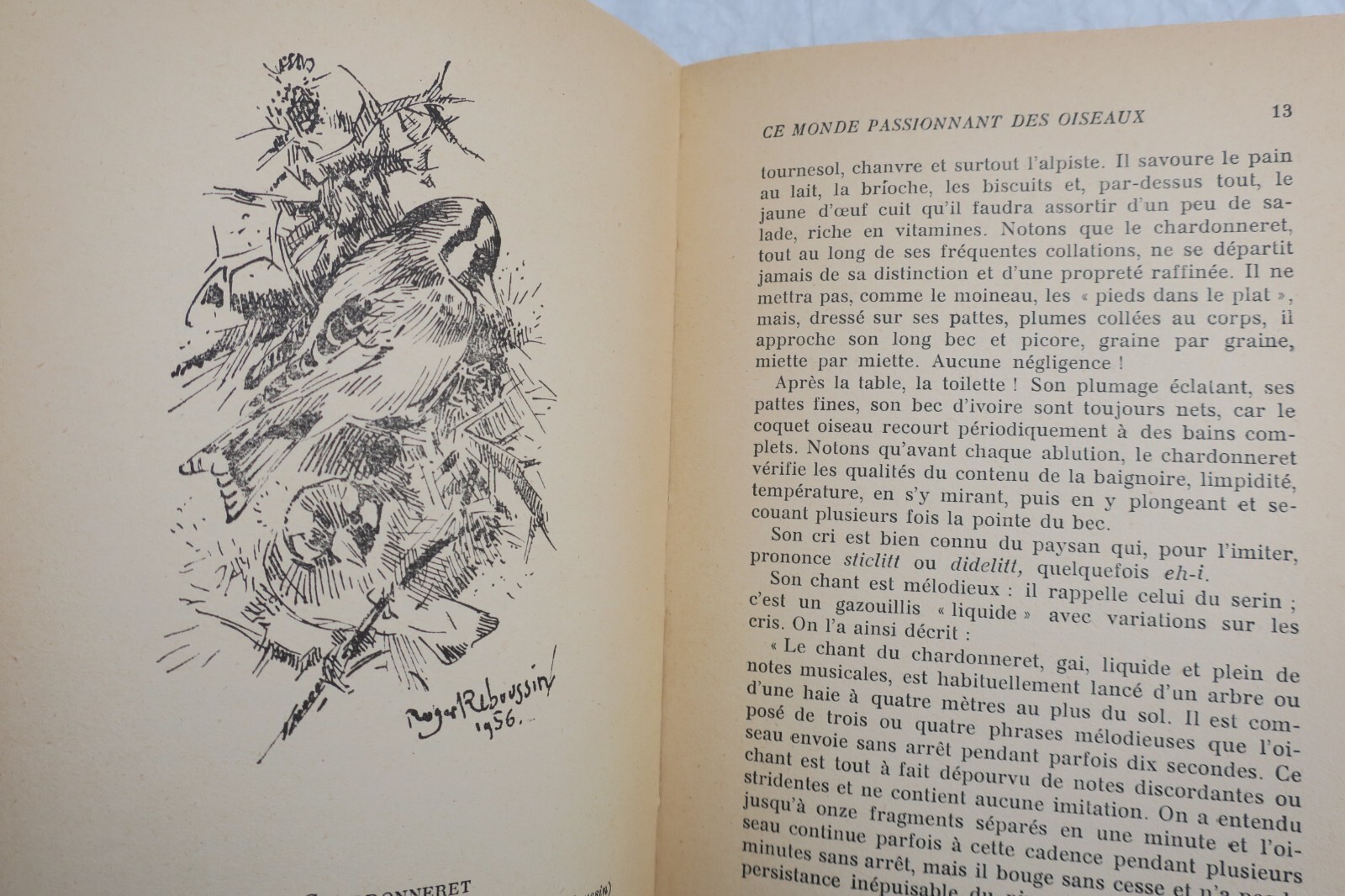 Die faszinierende Welt der Vögel mit Widmung - Image 6