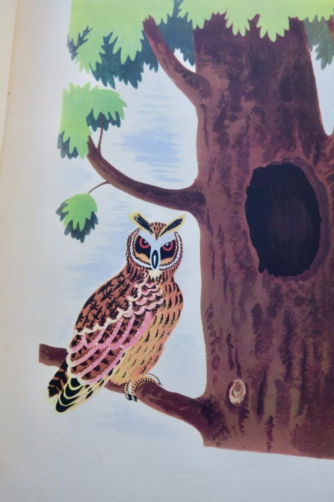 Illustrierte Geschichten über Vögel und Nester