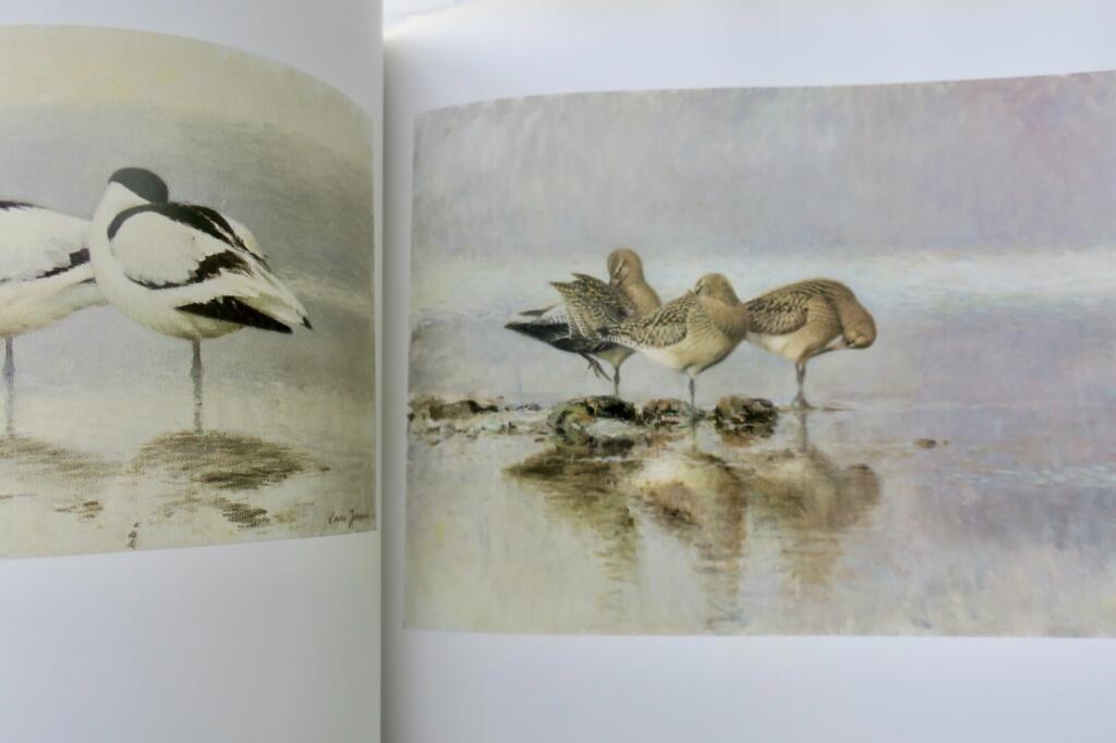Licht und Vögel: Naturhistorische Studie