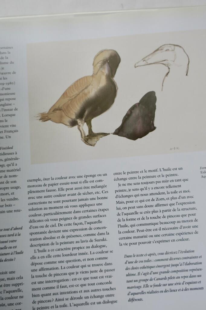 Licht und Vögel