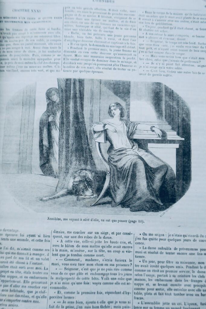 Illustriertes Literaturjournal 1857