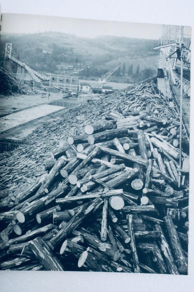 Papeteries de la Chapelle 1929–1954