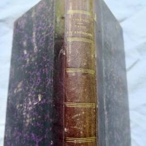 Paris en Amérique. Par le docteur René Lefebvre 1872