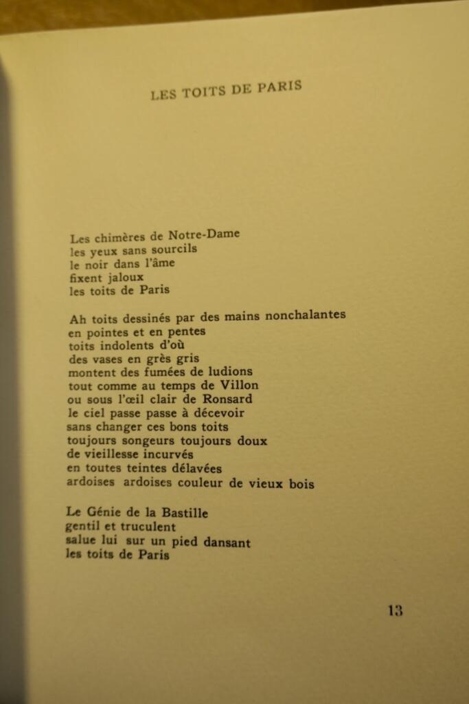 Paris durch poetische Sicht