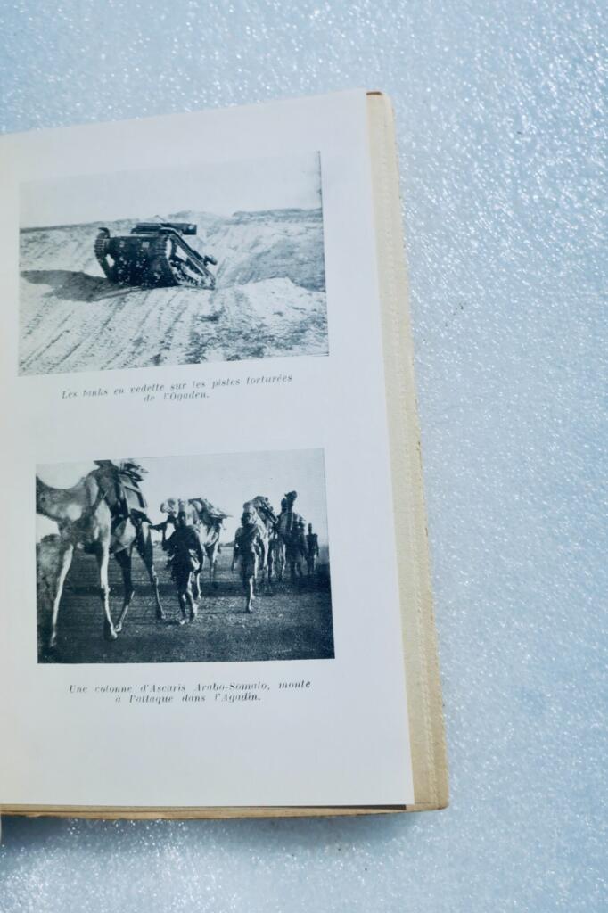 Lion Control - African Expedition Account