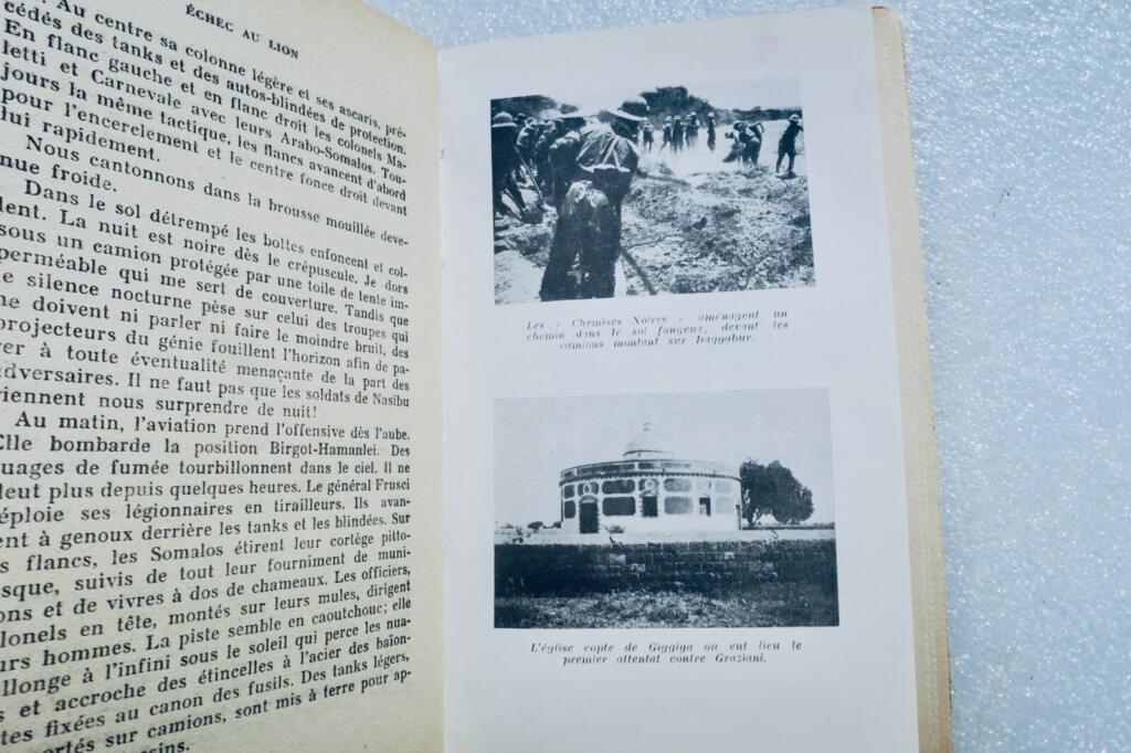 Lion Control - African Expedition Account