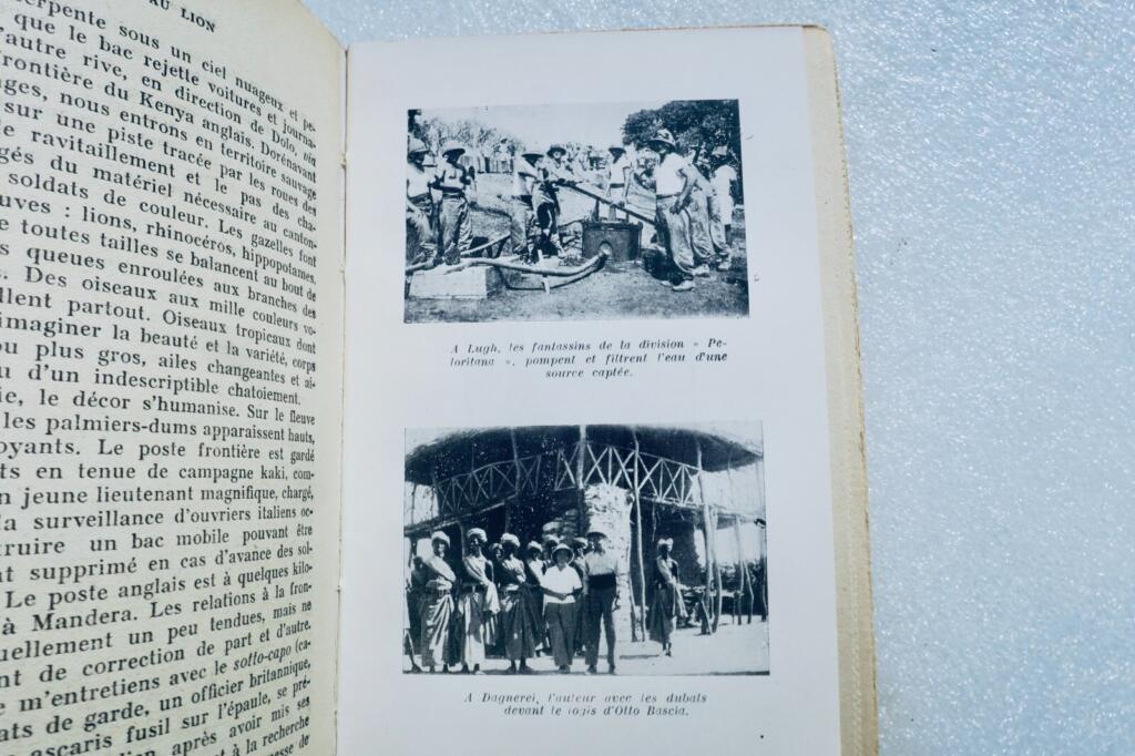 Lion Control - African Expedition Account
