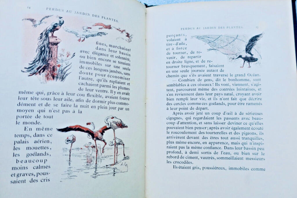 Perdu au jardin des plantes