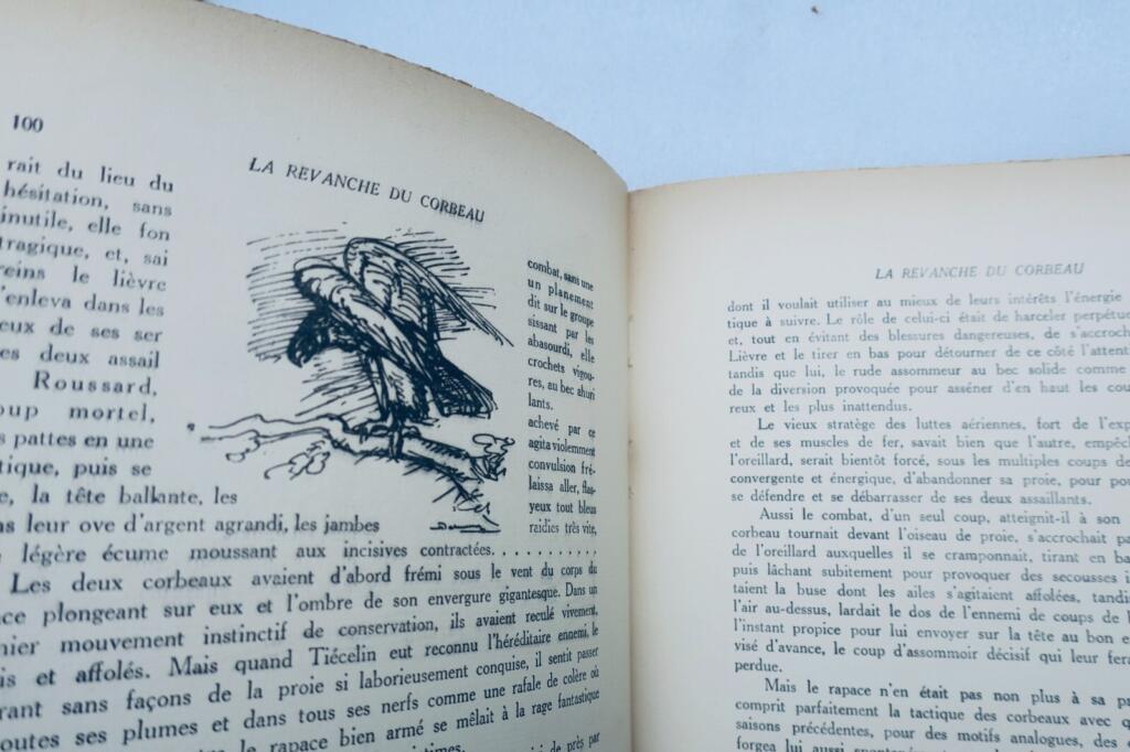 Animal Tales by Louis Pergaud