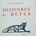 Pergaud Louis Histoires de bêtes Illustrations de H Deluermoz - La Librairie Antique