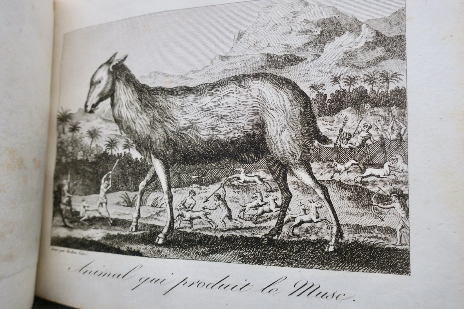 perse, Asie, Inde, Voyage ATLAS 1817 Tavernier – Image 9