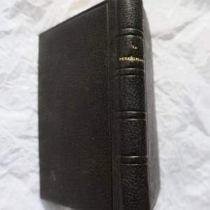 persévérance ou la jeune fille sous la conduite de Marie MINI