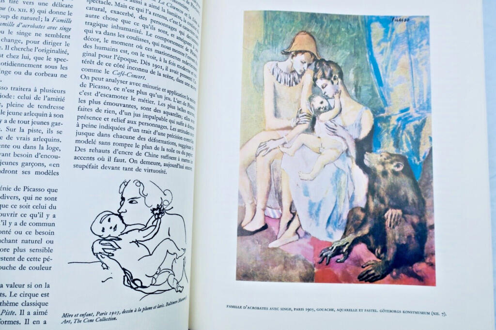 PICASSO 1900-1906: catalogue raisonné de l’oeuvre peint