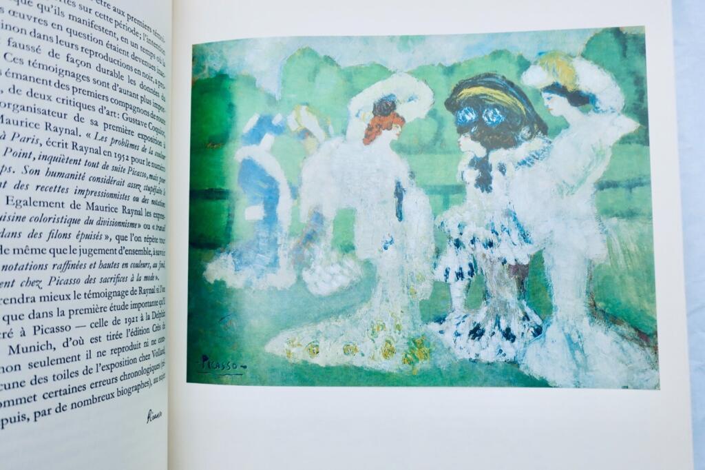 PICASSO 1900-1906: catalogue raisonné de l’oeuvre peint
