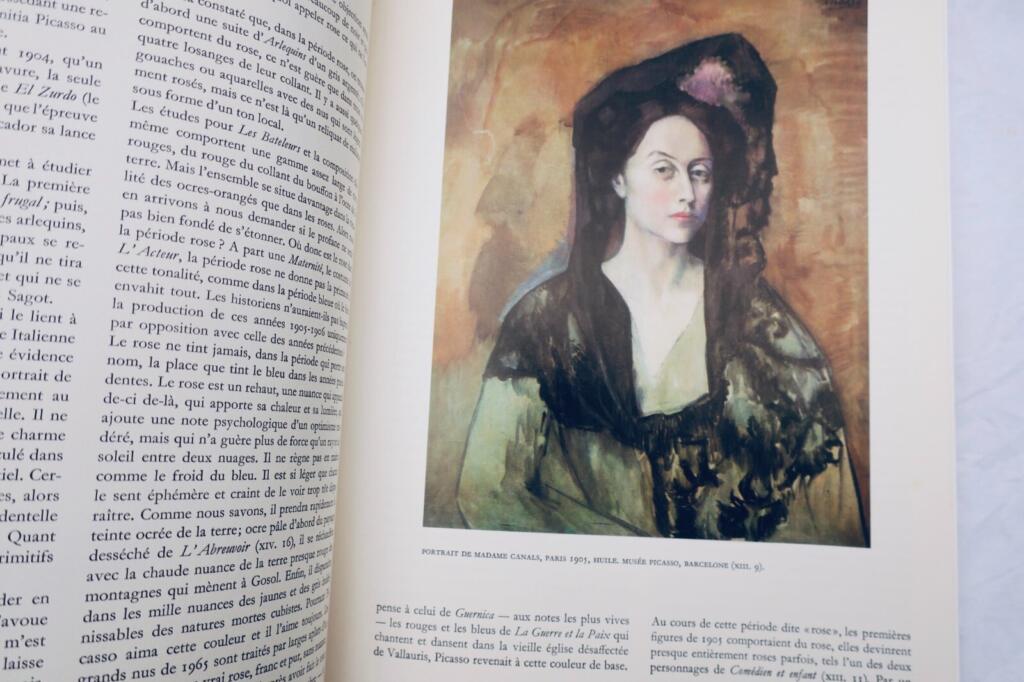 PICASSO 1900-1906: catalogue raisonné de l’oeuvre peint