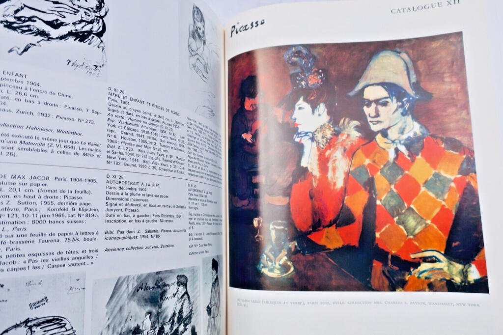 PICASSO 1900-1906: catalogue raisonné de l’oeuvre peint