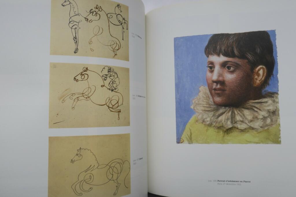 Exhibition catalog featuring Picasso's circus art