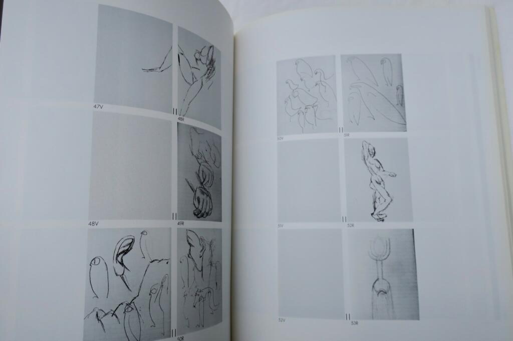 Picasso’s Demoiselles d’Avignon: Volume 1