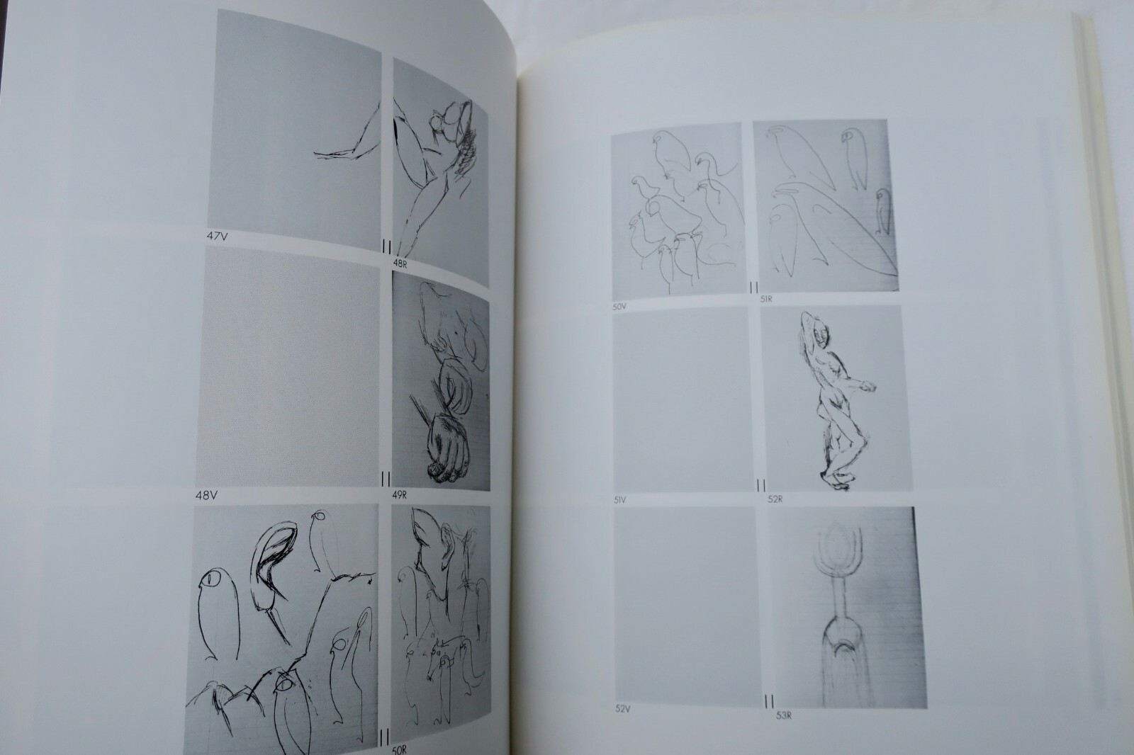 Picassos Demoiselles d’Avignon: Band 1 – Image 3