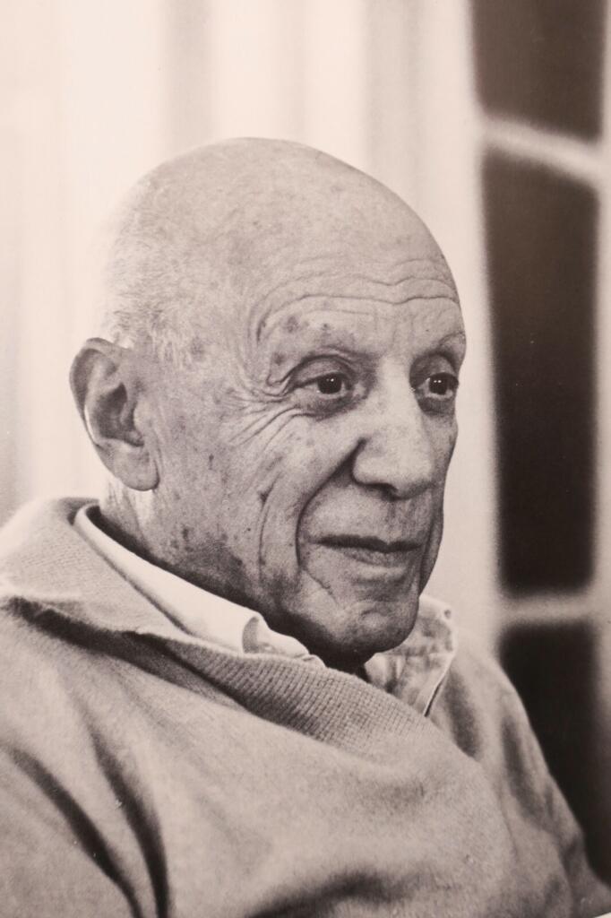 Umfassendes Picasso-Monografie mit Abbildungen