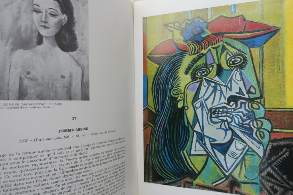 Umfassendes Picasso-Monografie mit Abbildungen