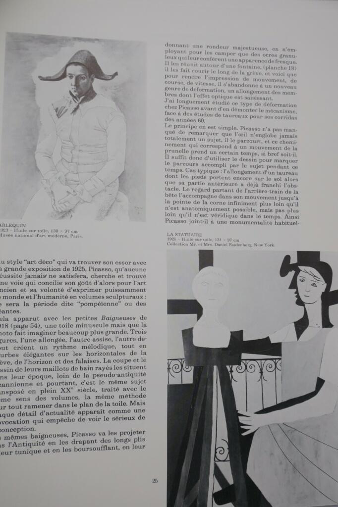 Umfassendes Picasso-Monografie mit Abbildungen