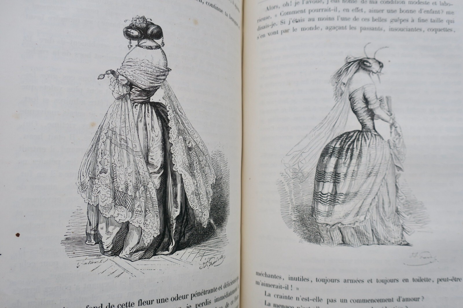 Public and Private Life of Animals - Image 4