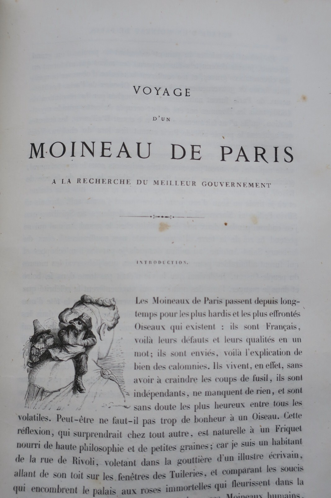 Public and Private Life of Animals - Image 7