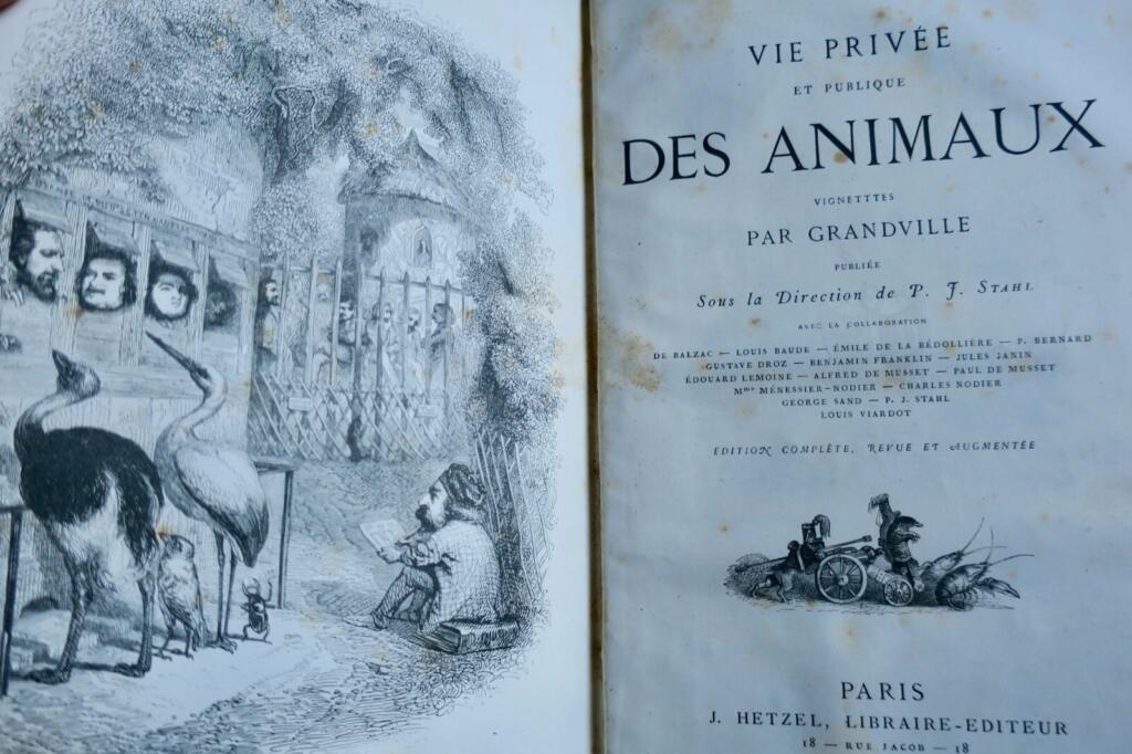 Tierleben im Frankreich des 19. Jahrhunderts