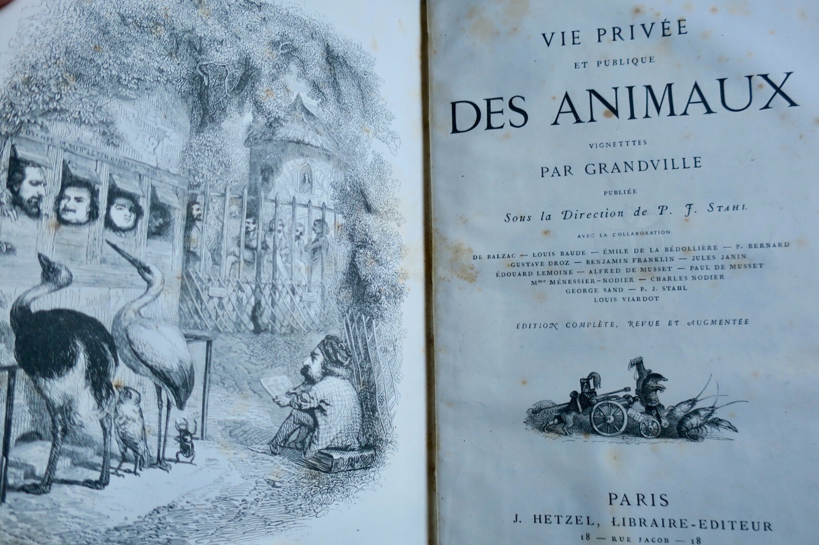 Tierleben im Frankreich des 19. Jahrhunderts - Image 13