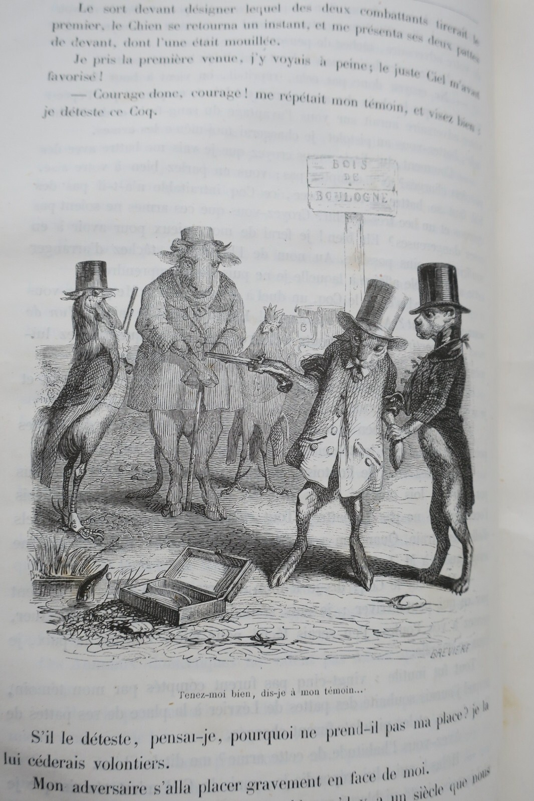 Public and Private Life of Animals - Image 8