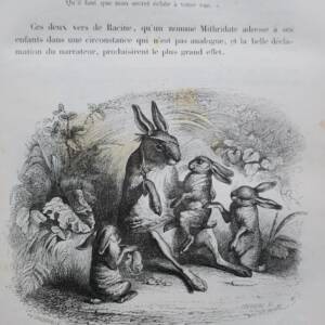 Pierre Jules Stahl. Scènes de la vie publique et privée des animaux