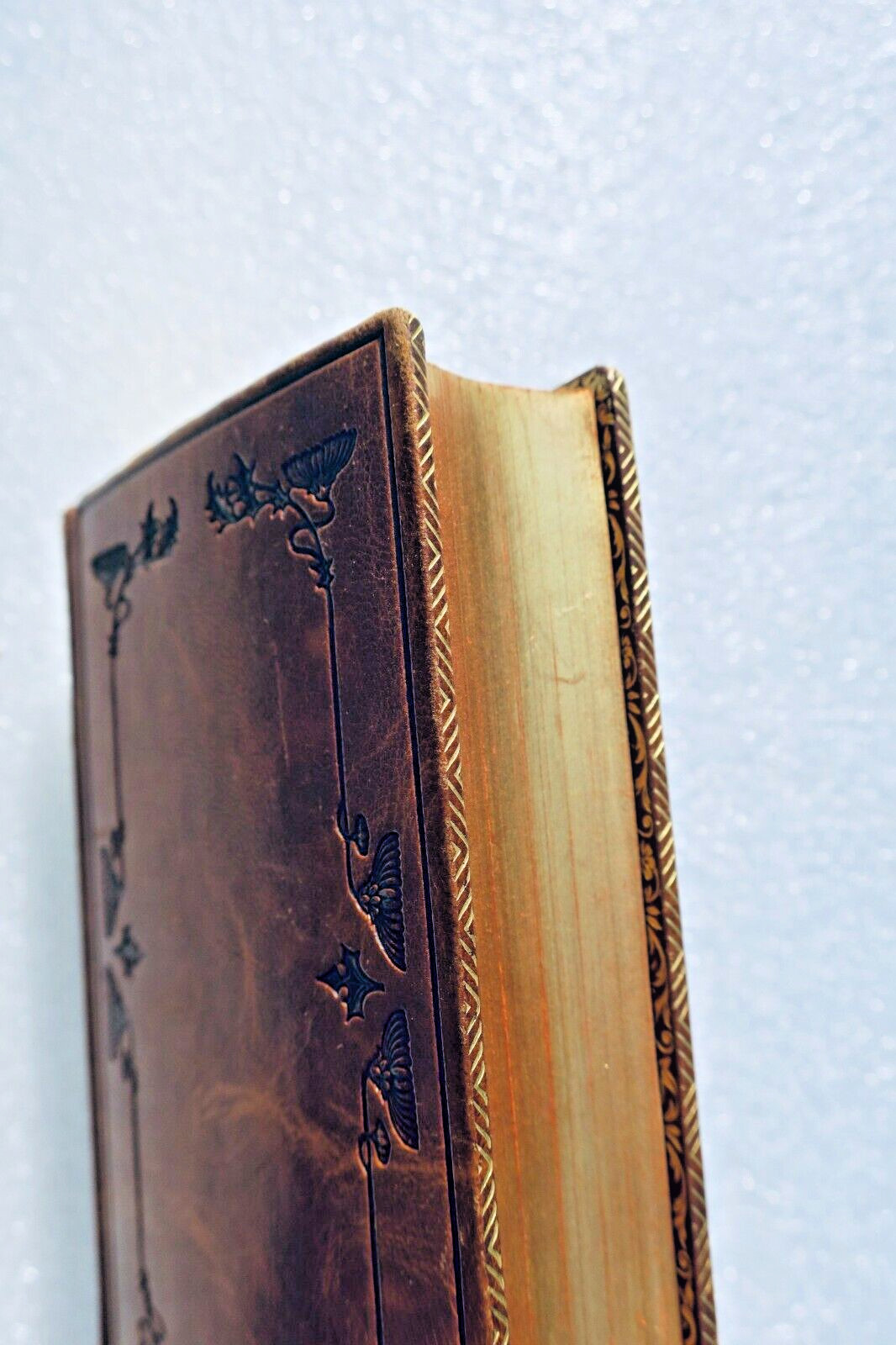 Andachtsbuch für Schulmädchen und Familienleben - Image 6