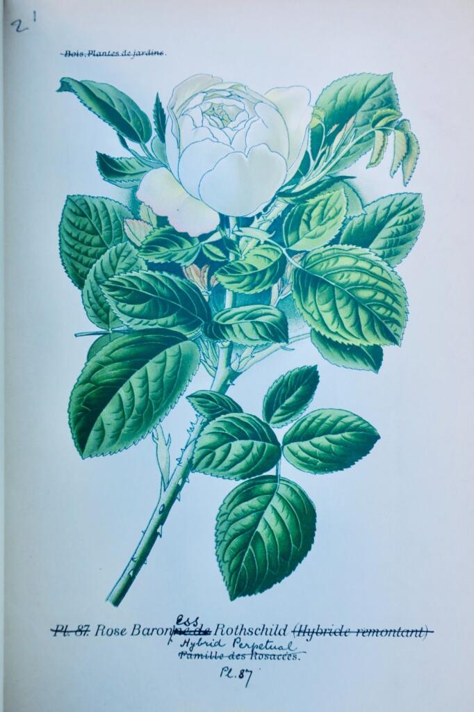 Garden and houseplant atlas