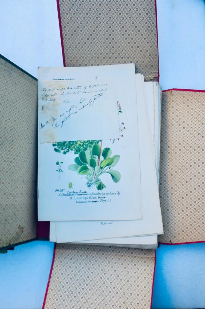 Garden and houseplant atlas