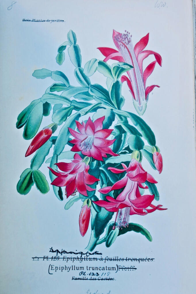 Garden and houseplant atlas