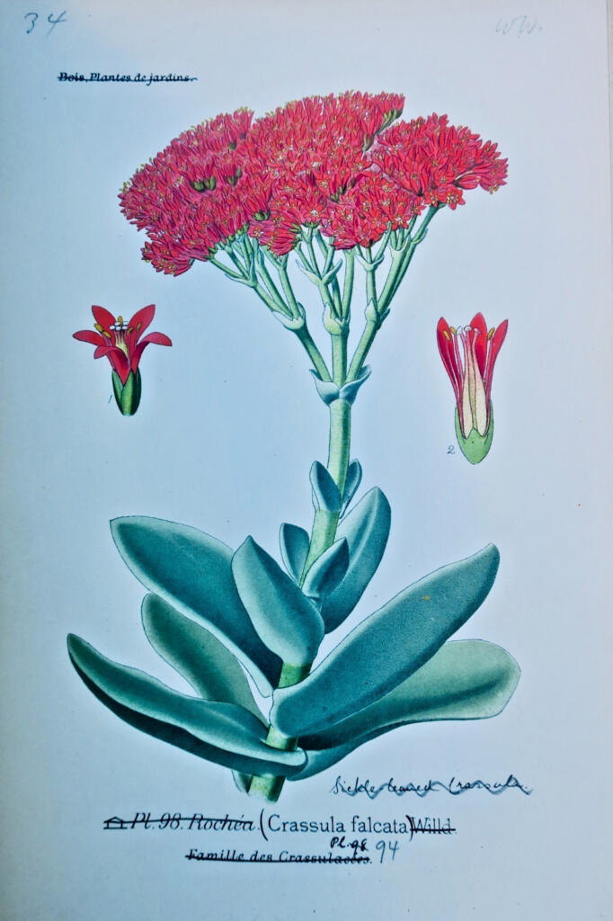 Garden and houseplant atlas