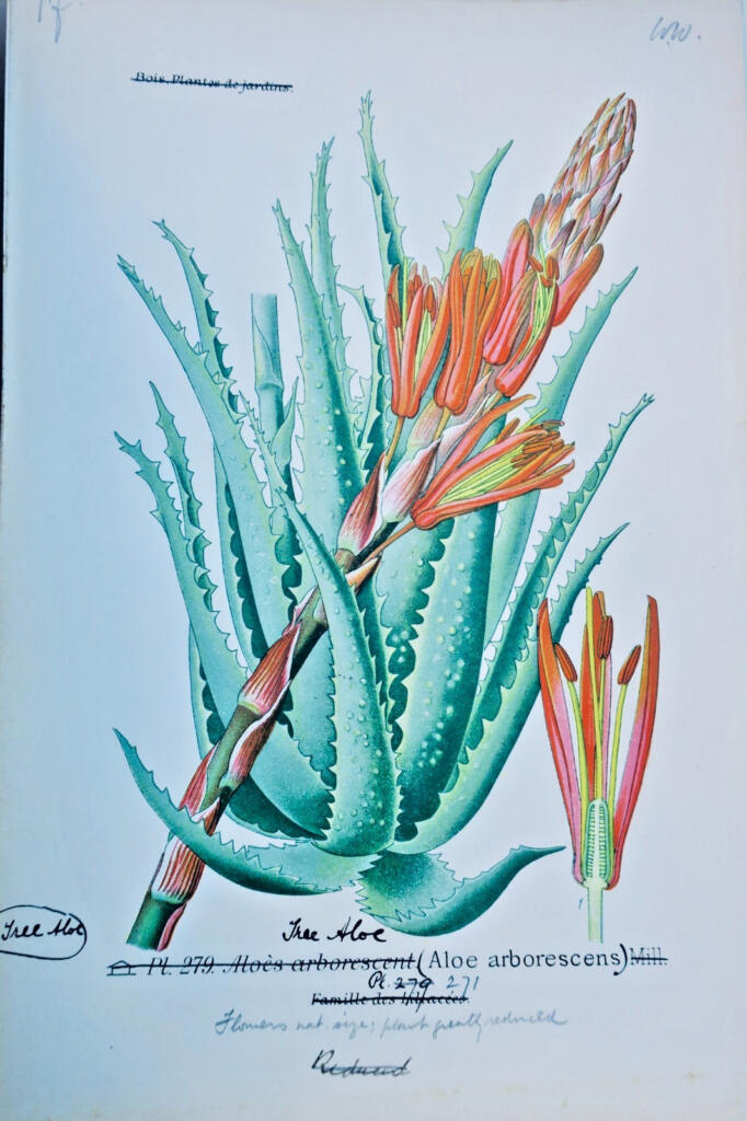 Garden and houseplant atlas