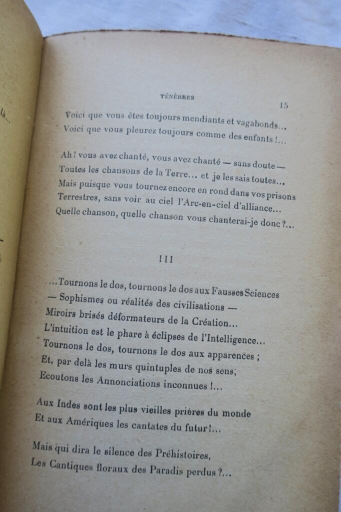 Visionäre Gedichte mit Autoreninschrift