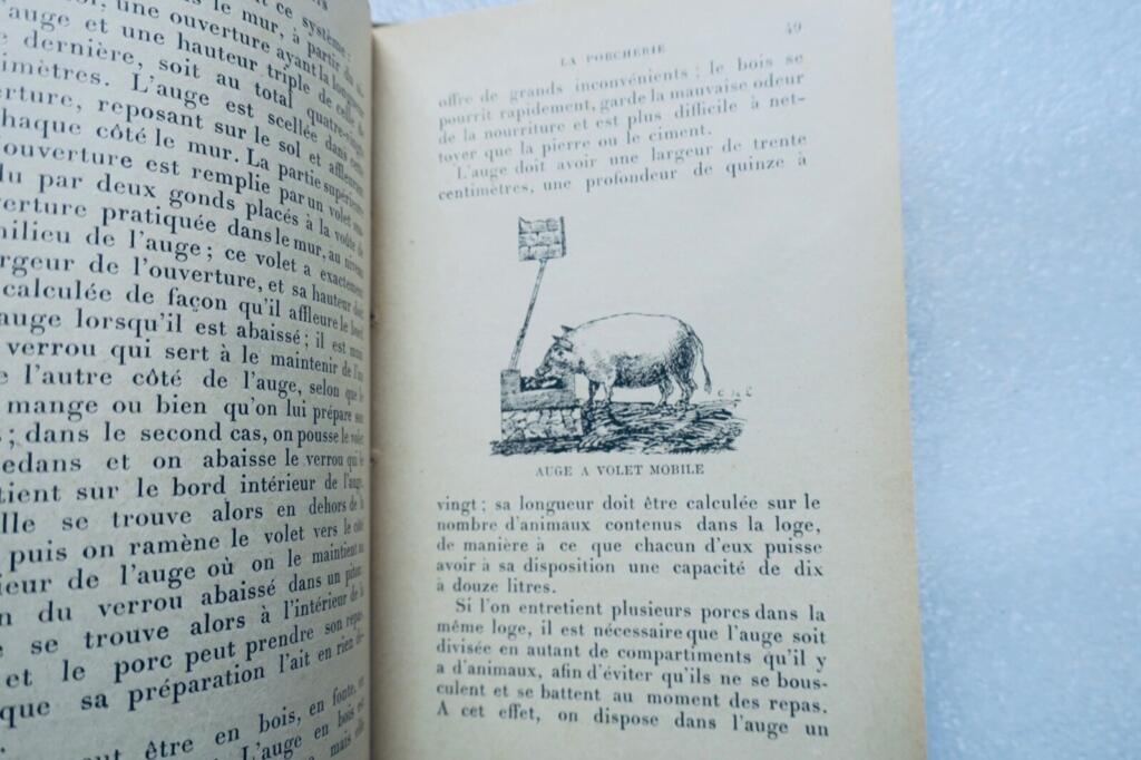 Pork and its products: bacon & hams