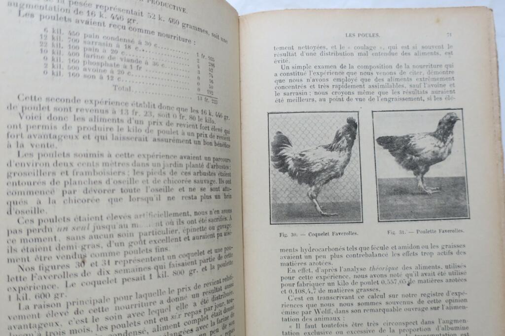 Productive Poultry Farming Guide